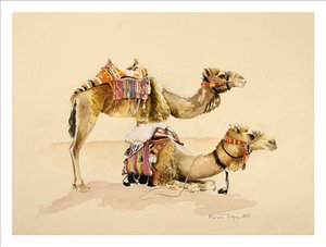 Kamelen uit Petra, 2007 door Alison Cooper